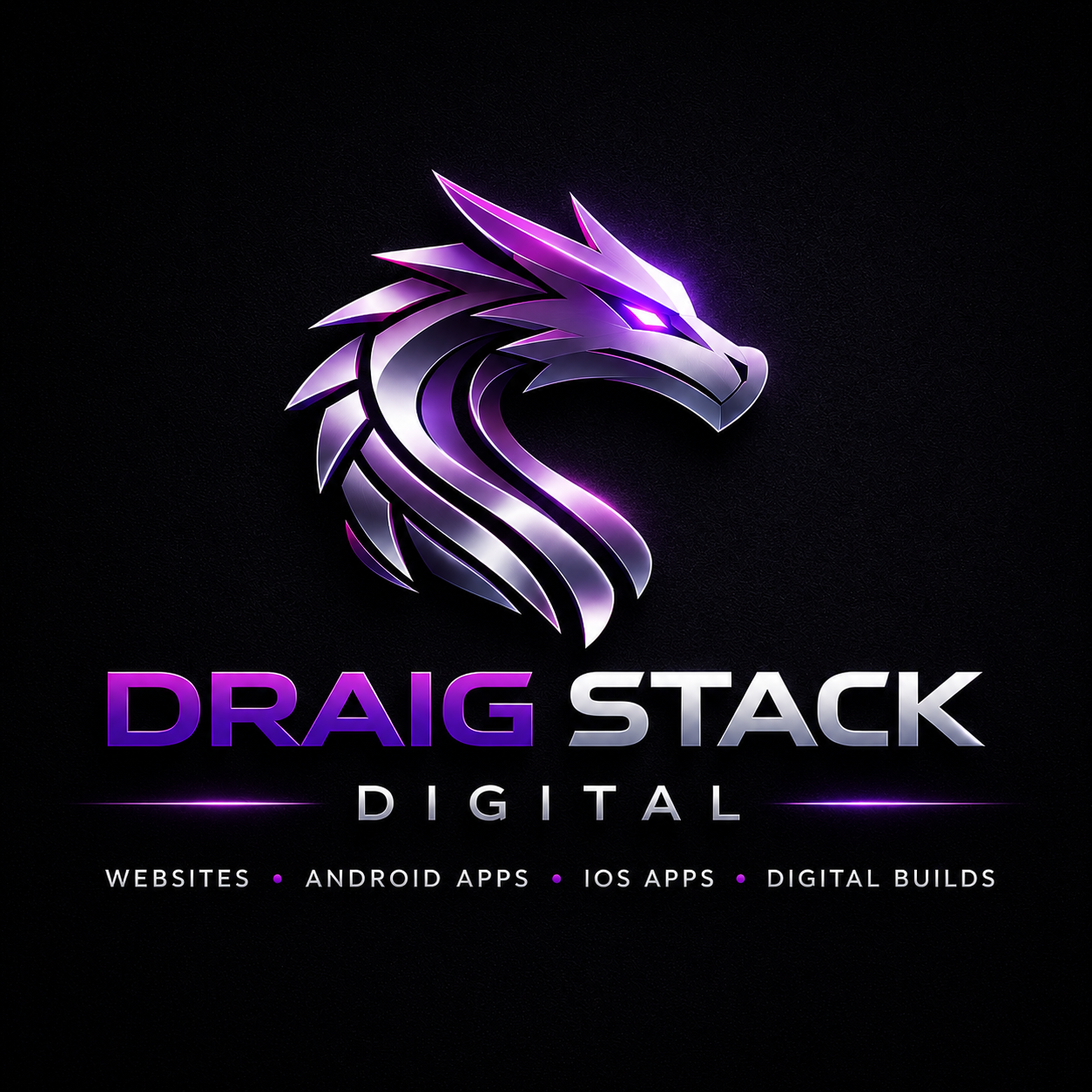 Draig Stack Digital logo